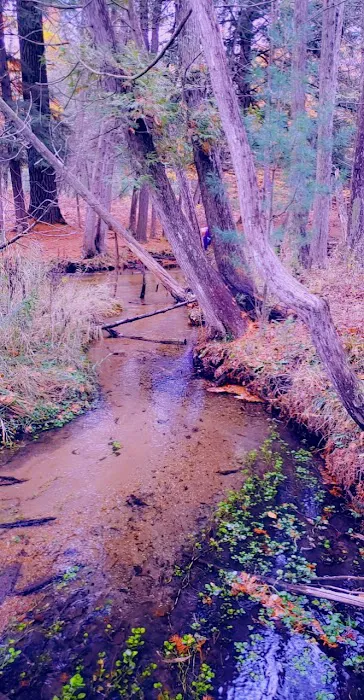 House Lake State Forest Campground 3