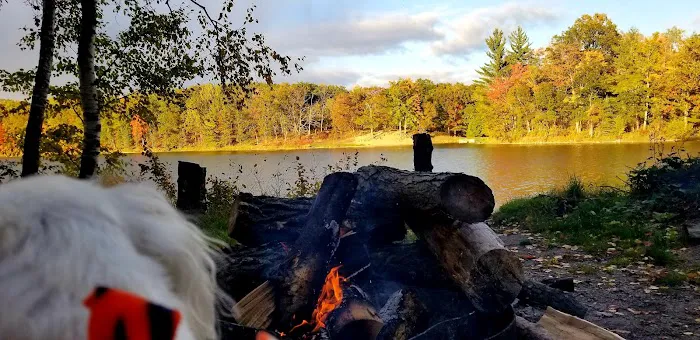 Trout Lake State Forest Campground 0