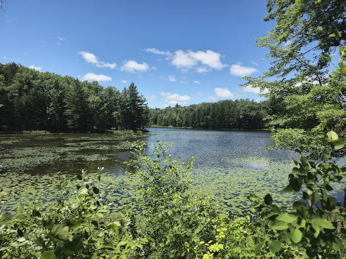 Trout Lake State Forest Campground 8