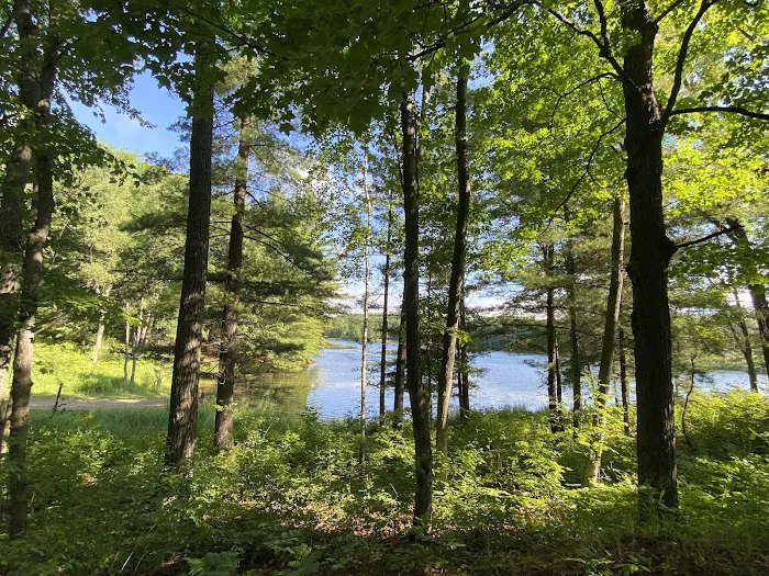 Trout Lake State Forest Campground 3