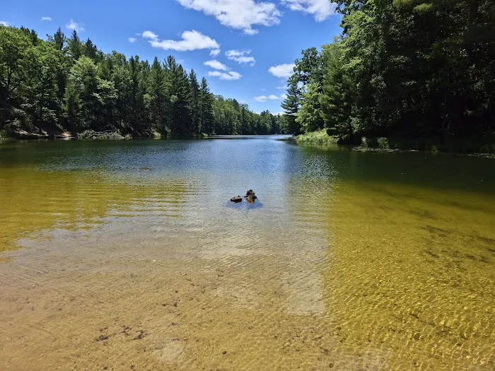 Trout Lake State Forest Campground 5