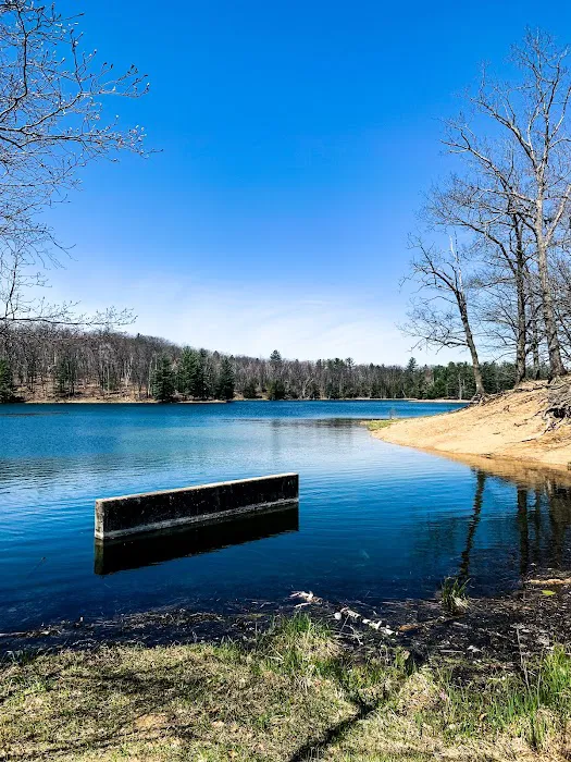 Trout Lake State Forest Campground 4