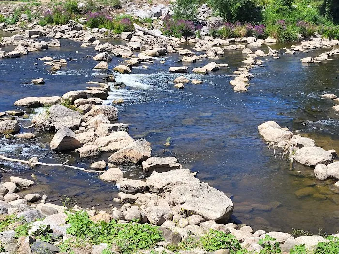 Chesaning Showboat Camping 5