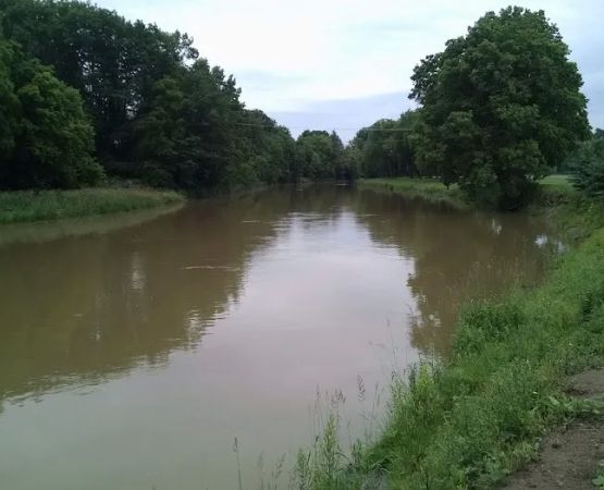 Chesaning Showboat Camping