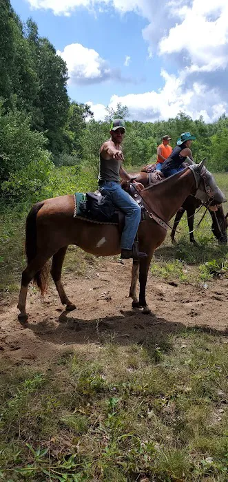 Waterloo Horse Camp & Staging Area 1