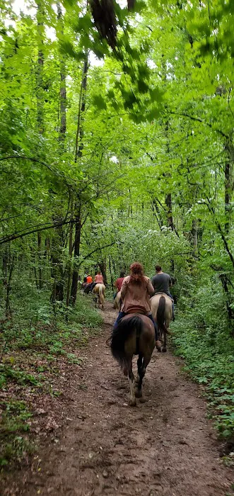 Waterloo Horse Camp & Staging Area 3