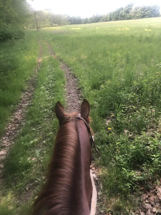 Waterloo Horse Camp & Staging Area 6