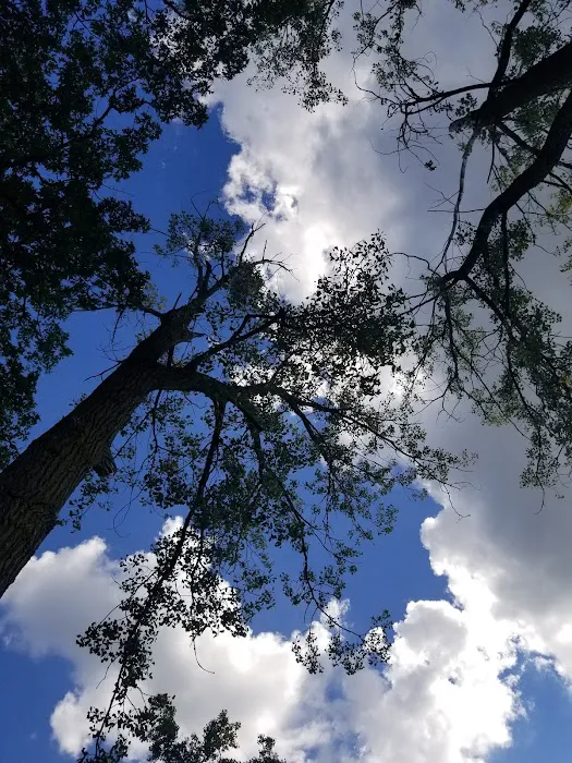 Vining Campground 0