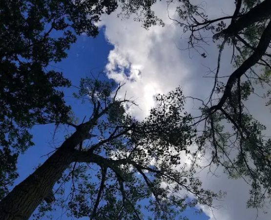 Vining Campground
