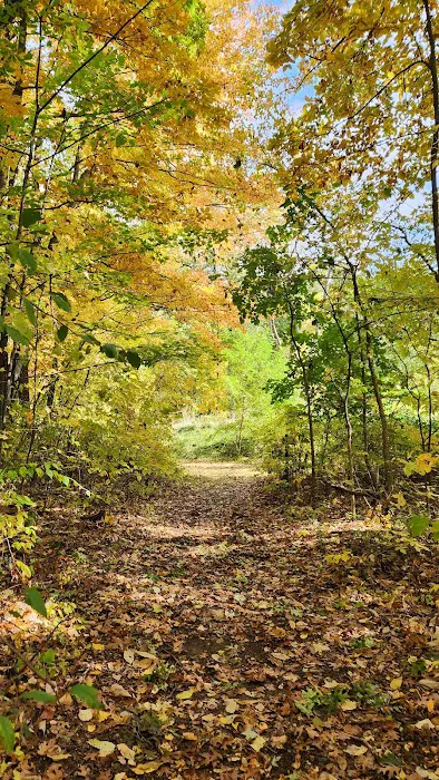 Waterloo Recreation Area Group Camp 2