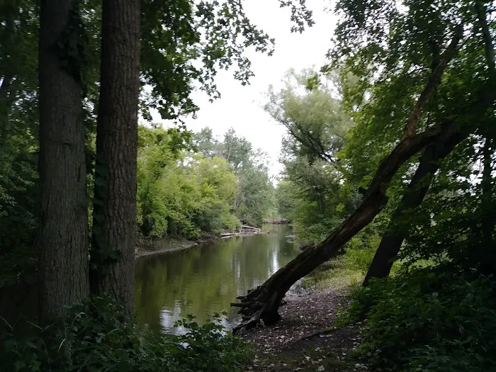 Robinhood of Sherwood Forest 2