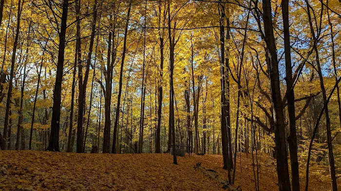 Blind Lake Campground 6