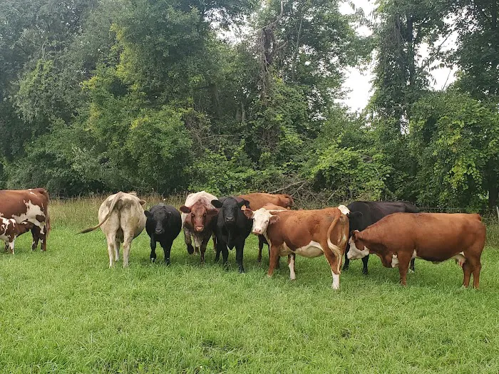 Freeway Farms 0