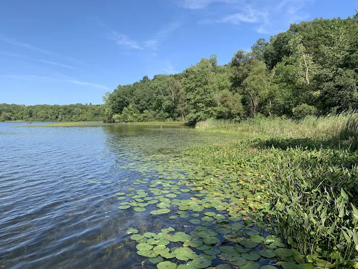Hayes State Park Campground-East Loop 7