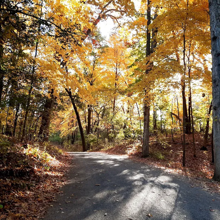 Hayes State Park Campground-West Loop 4