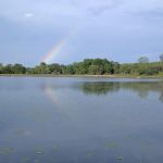 Irish Hills Kampground