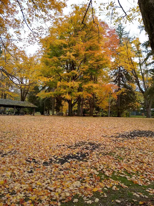 Southern Michigan Marble Springs Campground 5
