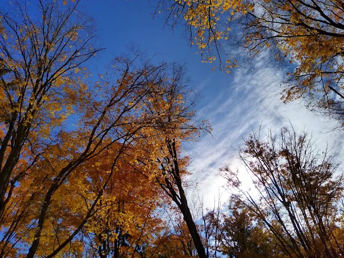Southern Michigan Marble Springs Campground 4
