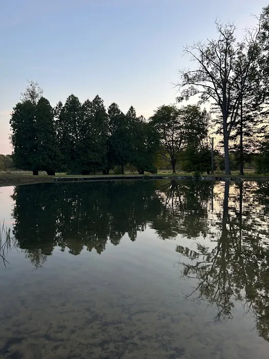 Southern Michigan Marble Springs Campground 0