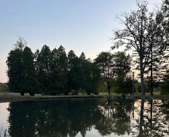 Southern Michigan Marble Springs Campground