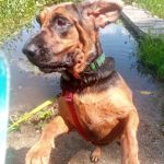 Tri-Lakes Trails Campground