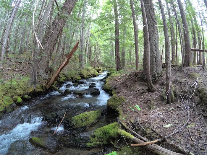 Hozomeen Campground 4