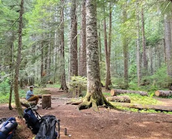 U.S. Cabin Campground
