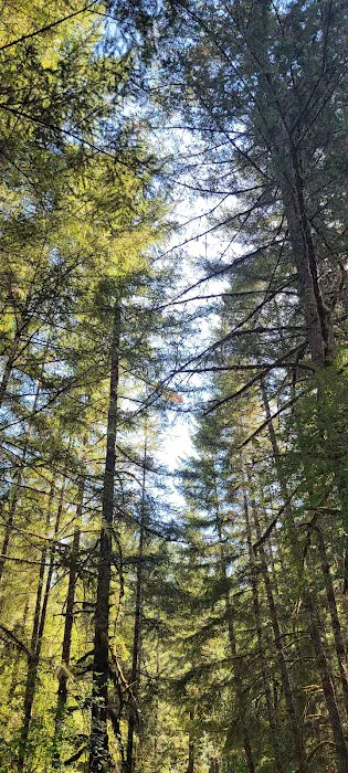 Upper End Campground 0
