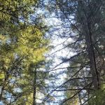 Upper End Campground