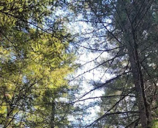 Upper End Campground