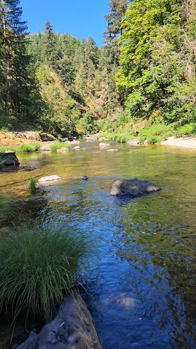 Fisherman's Point Group Camp 6