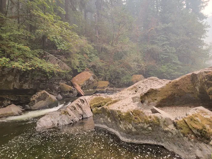 Dolly Varden Campground 6