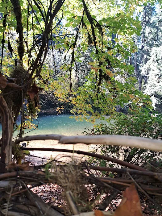 Dolly Varden Campground 7