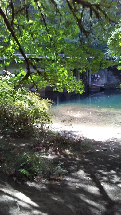 Dolly Varden Campground 3