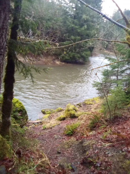 Dolly Varden Campground 2