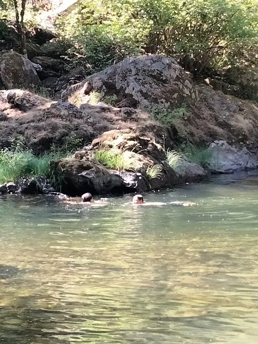 Dolly Varden Campground 8