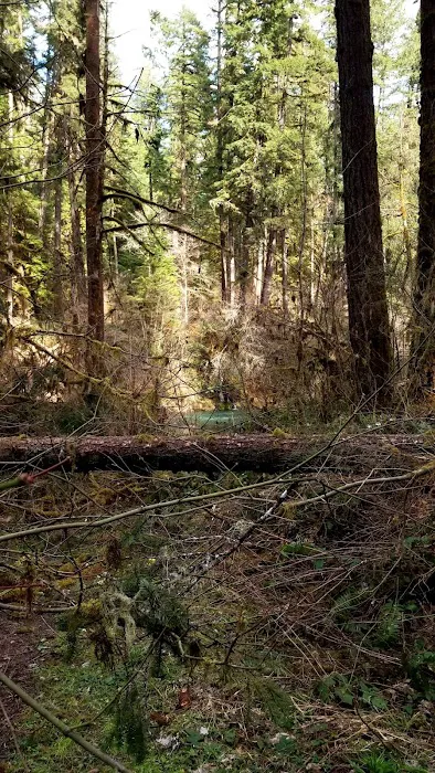 Dolly Varden Campground 5