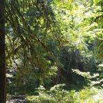 Broken Bowl Campground