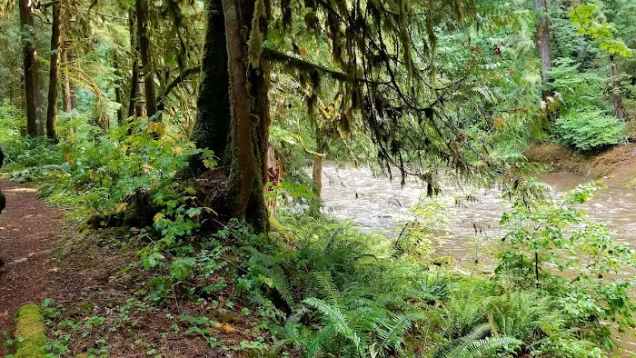Broken Bowl Campground 7