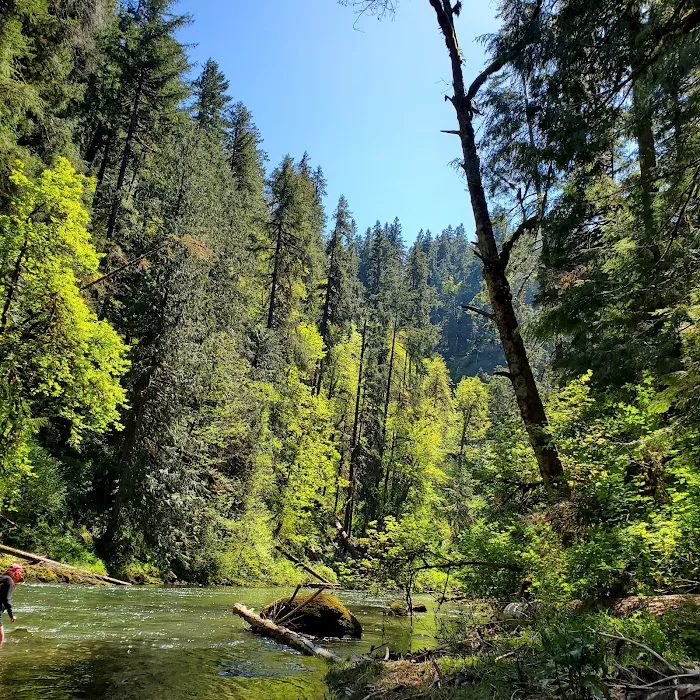 Broken Bowl Campground 5