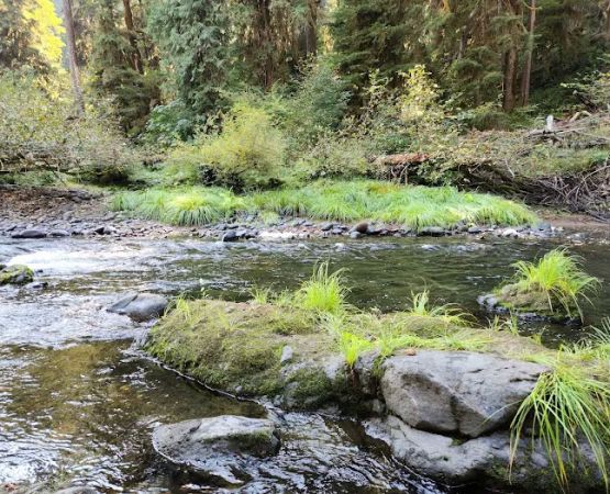 Big Pool Campground