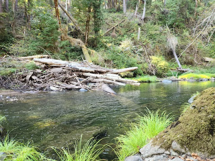 Big Pool Campground 1