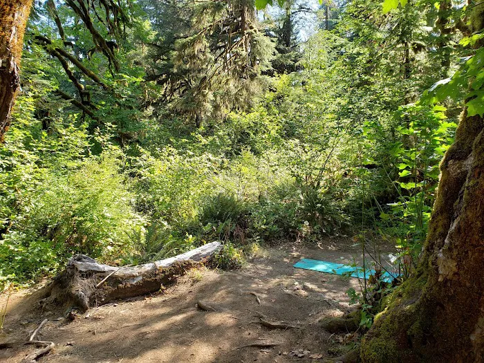 Big Pool Campground 2