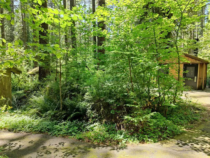 Clark Creek Organization Campground 8