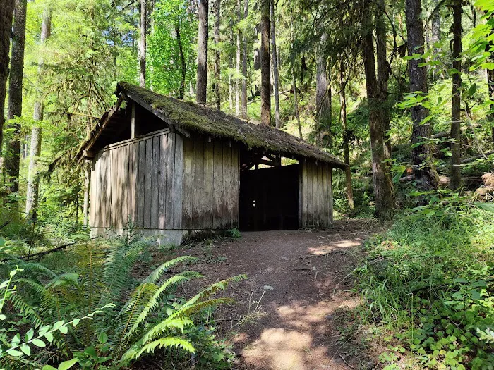 Clark Creek Organization Campground 6