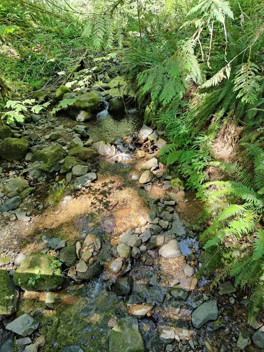 Clark Creek Organization Campground 3