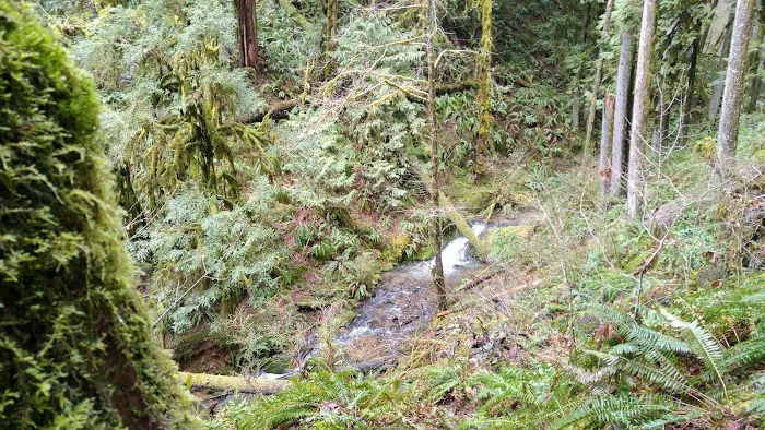 Clark Creek Organization Campground 9