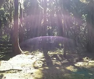 Puma Campground 1