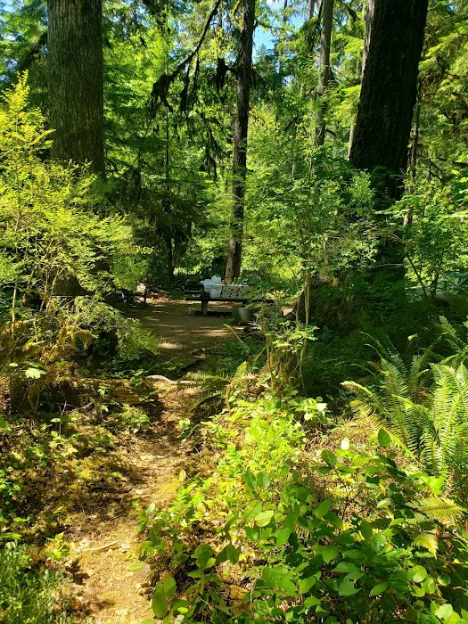 Puma Campground 3