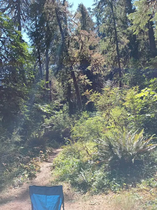 Puma Campground 2